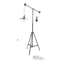 Classical Home Use Iron Standing Floor Lamp (F7023)